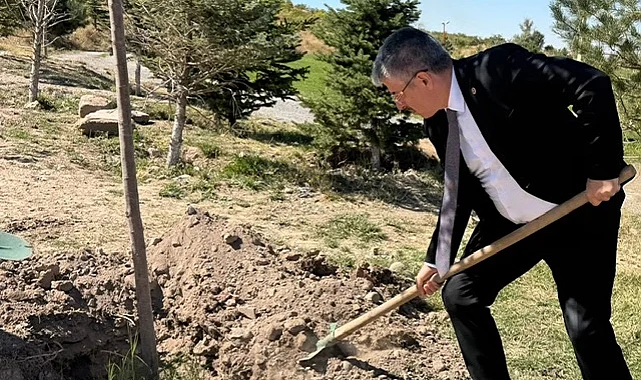 AK Partili Şaban Çopurluoğlu Kayseri Talas'ta fidan dikti