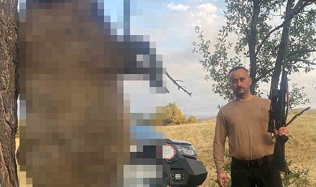 Akdağmadeni'nde yaklaşık yarım tonluk dev yaban domuzu öldürüldü