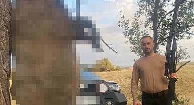 Akdağmadeni'nde yaklaşık yarım tonluk dev yaban domuzu öldürüldü