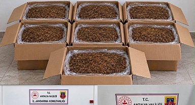 Alanya ve Döşemealtı'nda kaçak tütün operasyonu