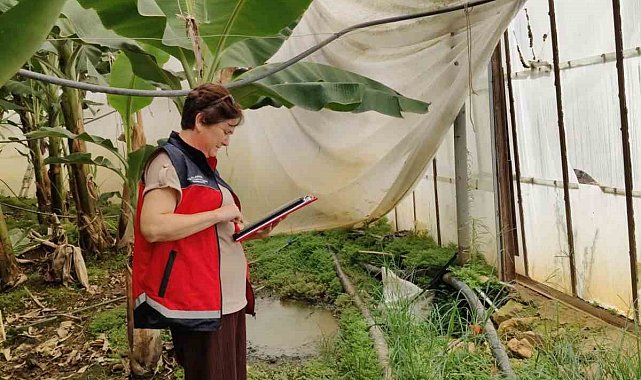 Alanya'da 22 bin dekar alanda seralar tek tek inceleniyor