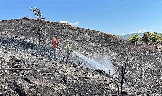 Alanya'da ağaçlık alanda çıkan yangında 10 dönüm alan ve sera zarar gördü
