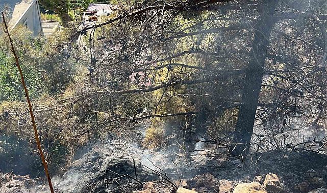 Alanya'da çalılık alanda çıkan yangın söndürüldü