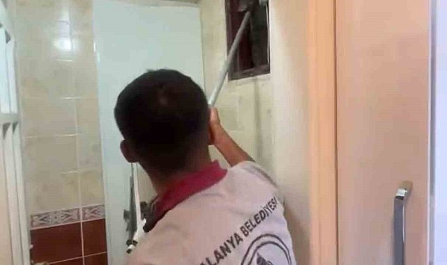 Alanya'da havalandırma bacasına düşen kedi ekipler tarafından kurtarıldı