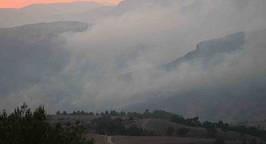 Alevler yerleşim yerine kadar yaklaştı, ekipler önledi