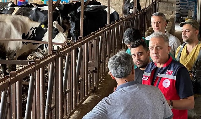 Altınözü'nde hastalıktan ari işletme sayısının artırılması için çalışma yürütülüyor