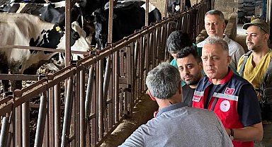 Altınözü'nde hastalıktan ari işletme sayısının artırılması için çalışma yürütülüyor