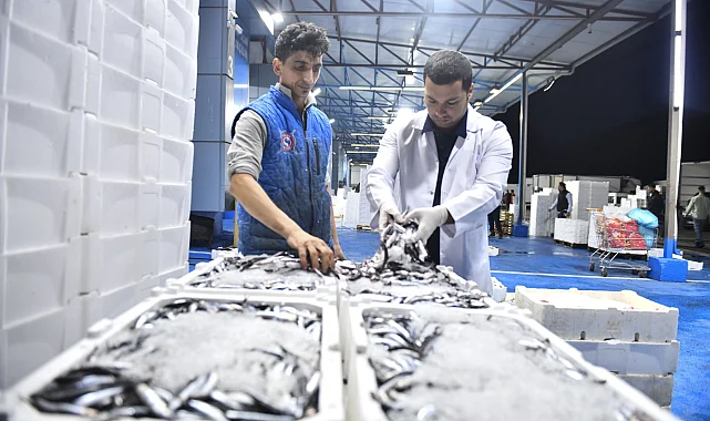 Ankara Balık Hali'nde sıkı denetim