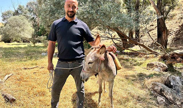 Ankara'da film gibi olay: Protokol Yolu'na çıkan eşek yediemine çekildi