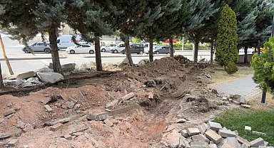 Ankara'da yol genişletme çalışmalarında 40 ağacın kesilmesi kararına tepki