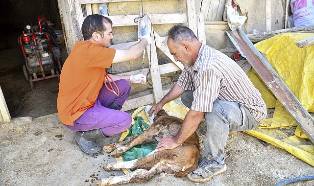Ankara'da yetiştiriciye 12,5 milyon TL'lik can suyu