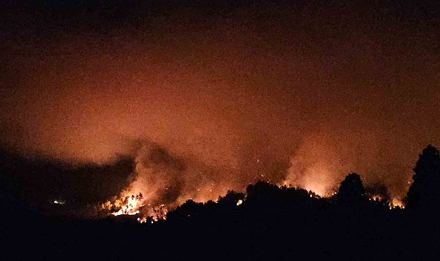 Antalya Serik'teki yangının enerjisi düşürüldü