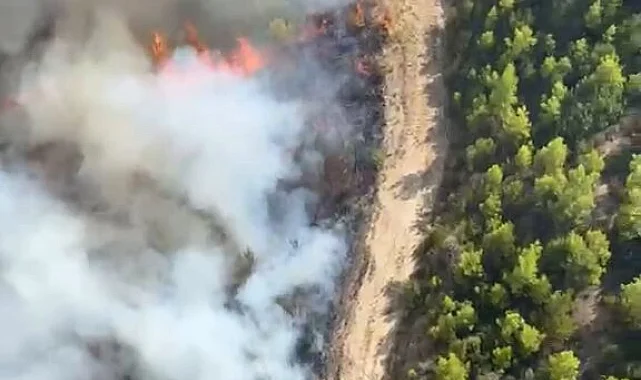 Antalya Serik'te orman yangını