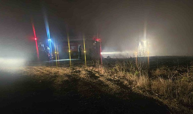 Antalya'da 3 dönüm sazlık alan yangında zarar gördü