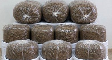 Antalya'da üç ilçede kaçak tütün operasyonu: 400 kilogram tütün ele geçirildi