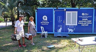 Antalya'da hayvan dostu çalışmaları sürüyor