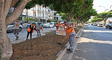 Antalya'da kurakçıl peyzajla yeşil dokunuş