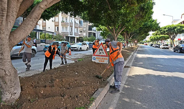 Antalya'da kurakçıl peyzajla yeşil dokunuş