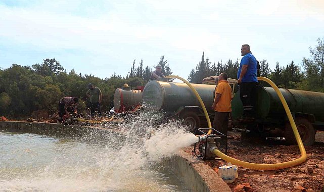 Antalyalı vatandaşlar su tankerleri ve beton mikserleriyle söndürme havuzları başına akın etti
