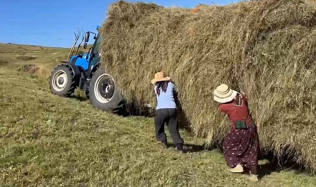 Ardahan'da kışlık yem telaşı: Çiftçiler zorlu şartlara rağmen hasada devam ediyor