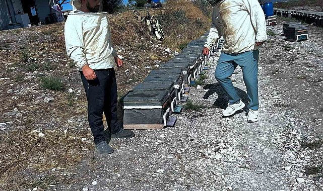 Arıcılığın geliştirilmesi için saha çalışmaları sürüyor