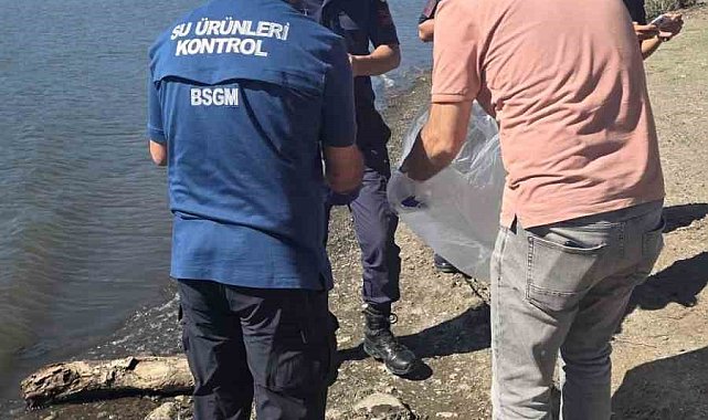 Atikhisar Barjı'ndaki balık ölümleri incelendi