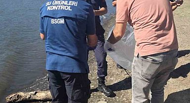 Atikhisar Barjı'ndaki balık ölümleri incelendi