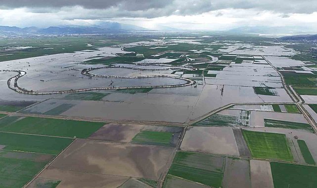 Aydın'da 2027 üretim yılı havza ürün desenleri belli oldu