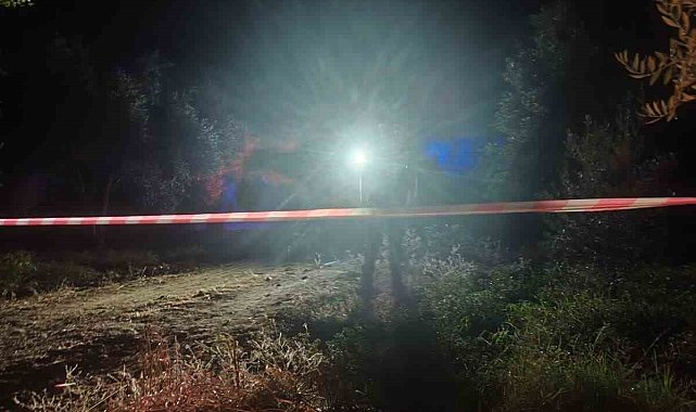 Aydın'da belediye personeli tarlada silahla vurulmuş halde ölü bulundu