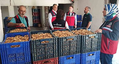 Aydın'da kuru incir için sıkı denetim