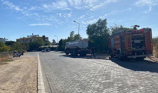Aydın'da okul yanında başlayan yangın panikletti