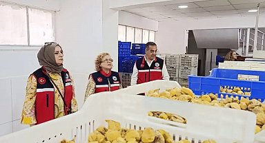Aydın'ın sarı altını incir için denetimler sıklaştırıldı