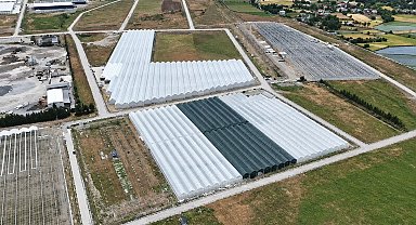 Bafra'da sera organize tarım bölgesinde doluluk yüzde 85'e ulaştı