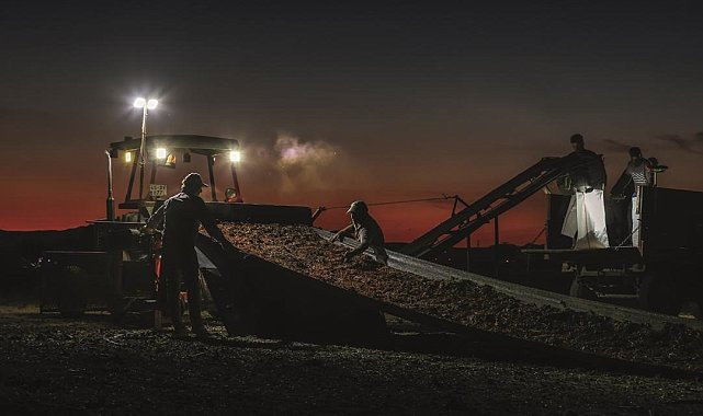 Bağ Bozumu Şenliği Fotoğraf Yarışması'nda ödüller sahiplerini buldu