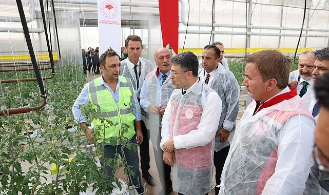 Bakan Yumaklı, Erzincan'daki jeotermal sera alanını inceledi