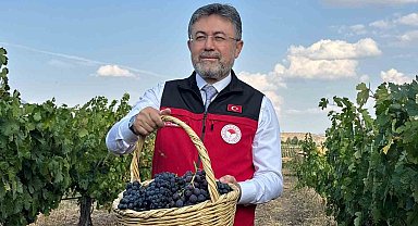 Bakan Yumaklı: "3 milyon 850 bin tonluk bir üzüm üretimi ülkemizde gerçekleşmiş olacak"