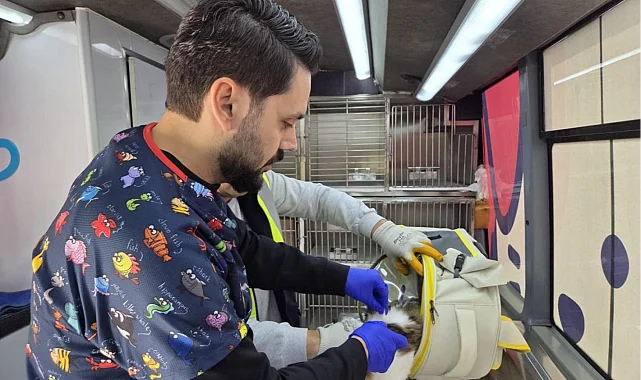 Balıkesir'de can dost aracı yollarda