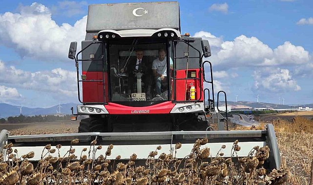 Bandırma'da kaymakam tarlaya indi, ayçiçeği hasadına katıldı