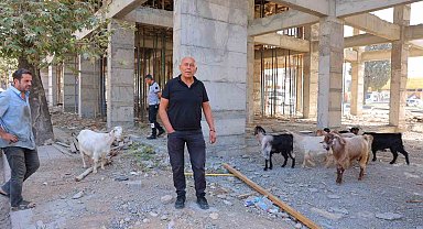Başıboş gezen 9 keçiyi esnaf buldu, sahibi aranıyor