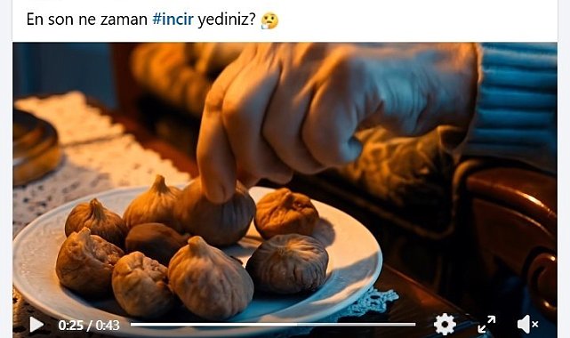 Başkan Çerçioğlu'ndan incir tanıtım filmi