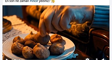 Başkan Çerçioğlu'ndan incir tanıtım filmi