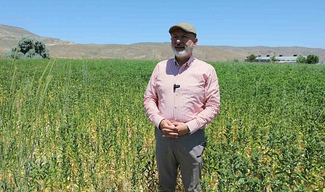 Başkan Çolakbayrakdar: "Ekiyoruz, üretiyoruz, hasat ediyoruz ve ailelerimizle paylaşıyoruz"