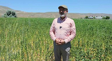 Başkan Çolakbayrakdar: "Ekiyoruz, üretiyoruz, hasat ediyoruz ve ailelerimizle paylaşıyoruz"