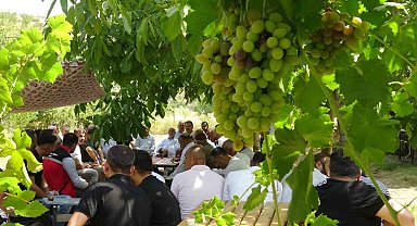 Batman'da mezrone üzümü için tarihi adım: Bağlıca köyünde kooperatifleşme heyecanı