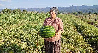 Beyağaç'ta ata tohumundan gelen bereket