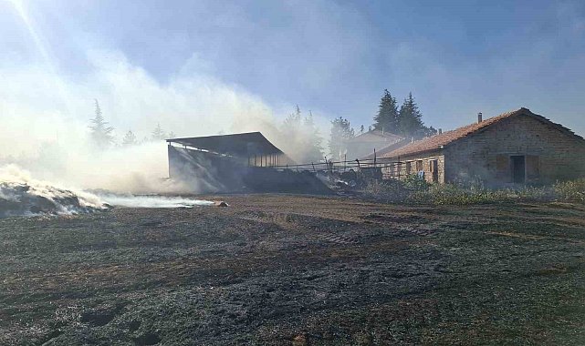 Beyşehir ve Hüyük'te çıkan anız yangınları paniğe neden oldu