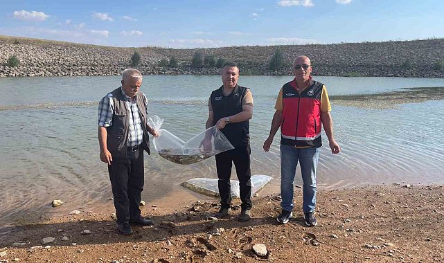 Beyşehir ve Hüyük'ün göletlerine balık bırakıldı