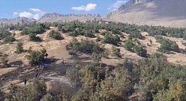 Beytüşşebap'ta orman yangını: Ekipler alevlerle mücadele ediyor