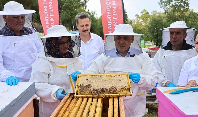 Bilecik'te 22 bin 500 kovandan 135 ton bal üretiliyor
