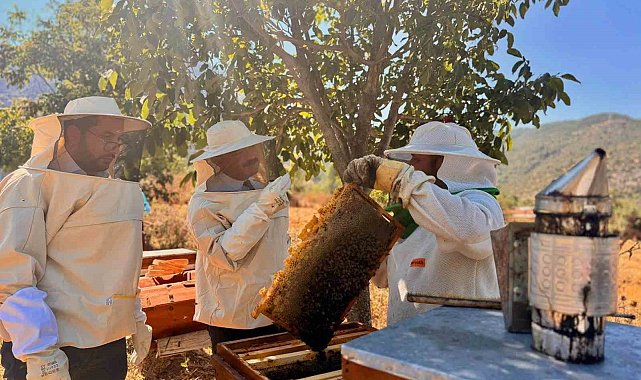 Bilecik'te 22 bin 500 kovandan 135 ton bal üretiliyor